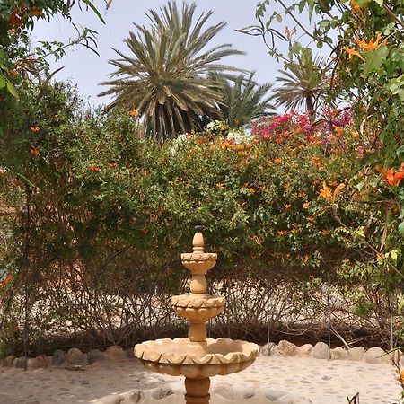 La Palmeraie De Massa Zaouit Massa Exteriör bild