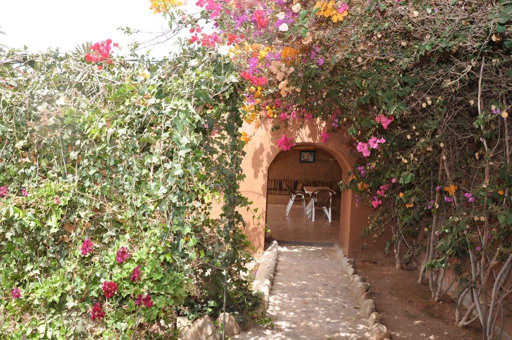 La Palmeraie De Massa Zaouit Massa Exteriör bild