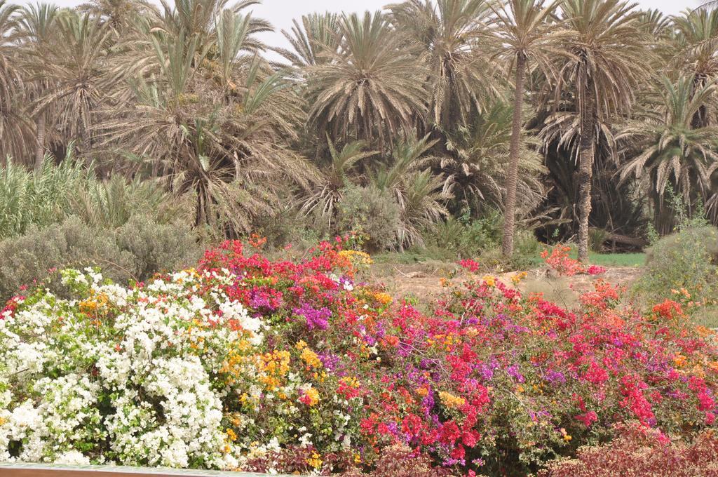 La Palmeraie De Massa Zaouit Massa Exteriör bild